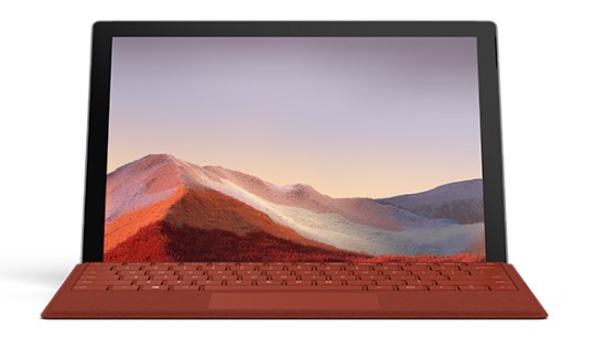 海陵清洁和维护 Surface